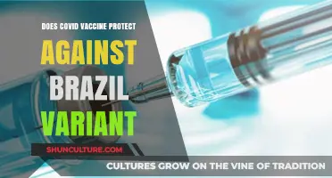 COVID Vaccine Efficacy: Does It Shield Against the Brazil Variant?
