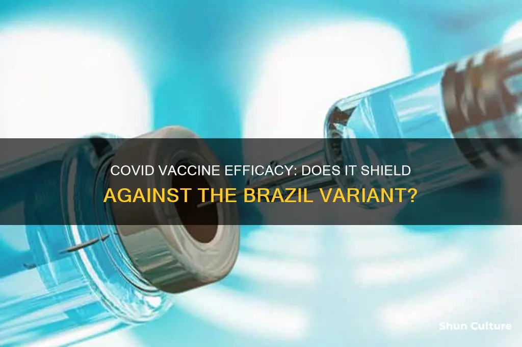 does covid vaccine protect against brazil variant