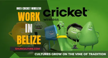 Cricket Wireless in Belize: Does It Work?