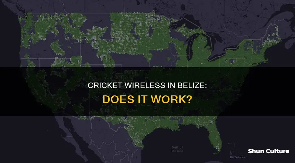 does cricket wireless work in belize