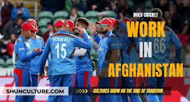 Cricket in Afghanistan: A Unifying Force in a Nation's Turbulent History