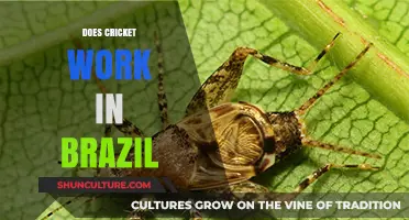 Cricket in Brazil: Exploring the Sport's Potential and Challenges