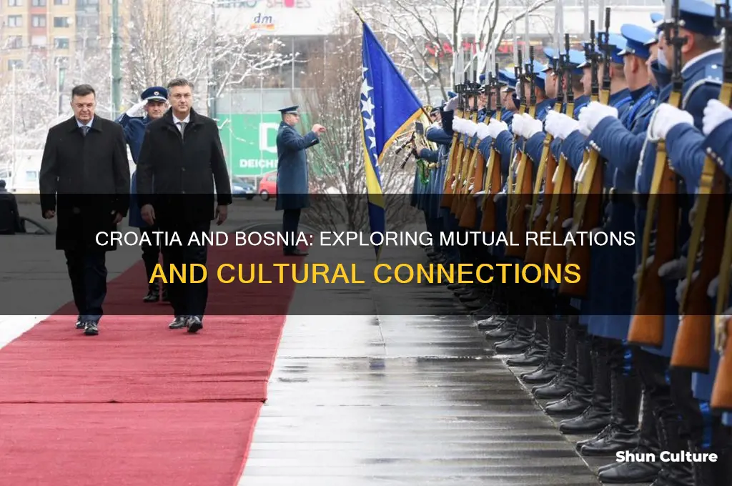 does croatia like bosnia