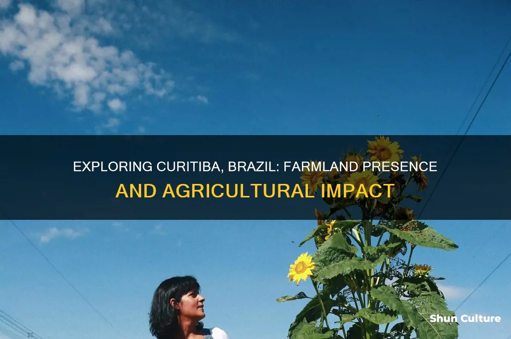 does curitiba brazil have a lot of farms
