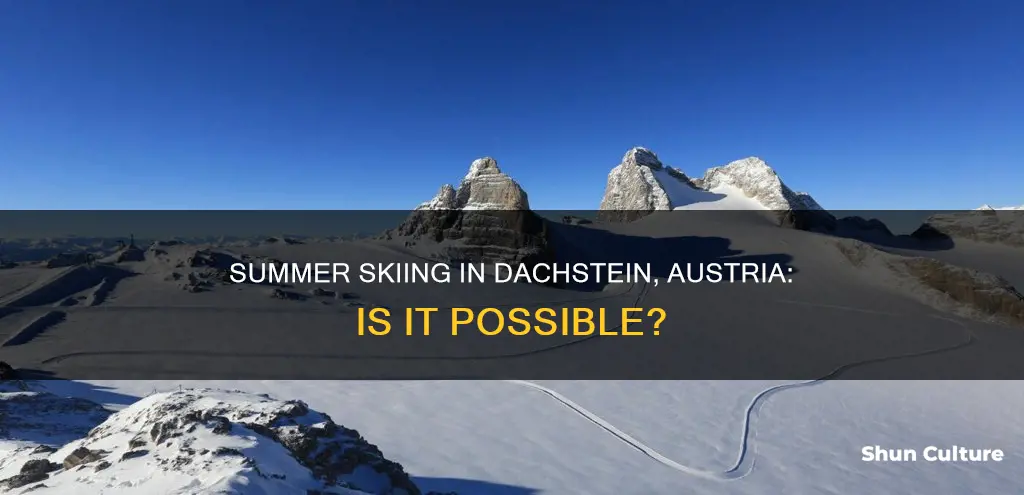 does dachstein austria provide summer skiing