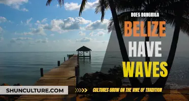 Belize's Dangriga: A Surfer's Paradise?