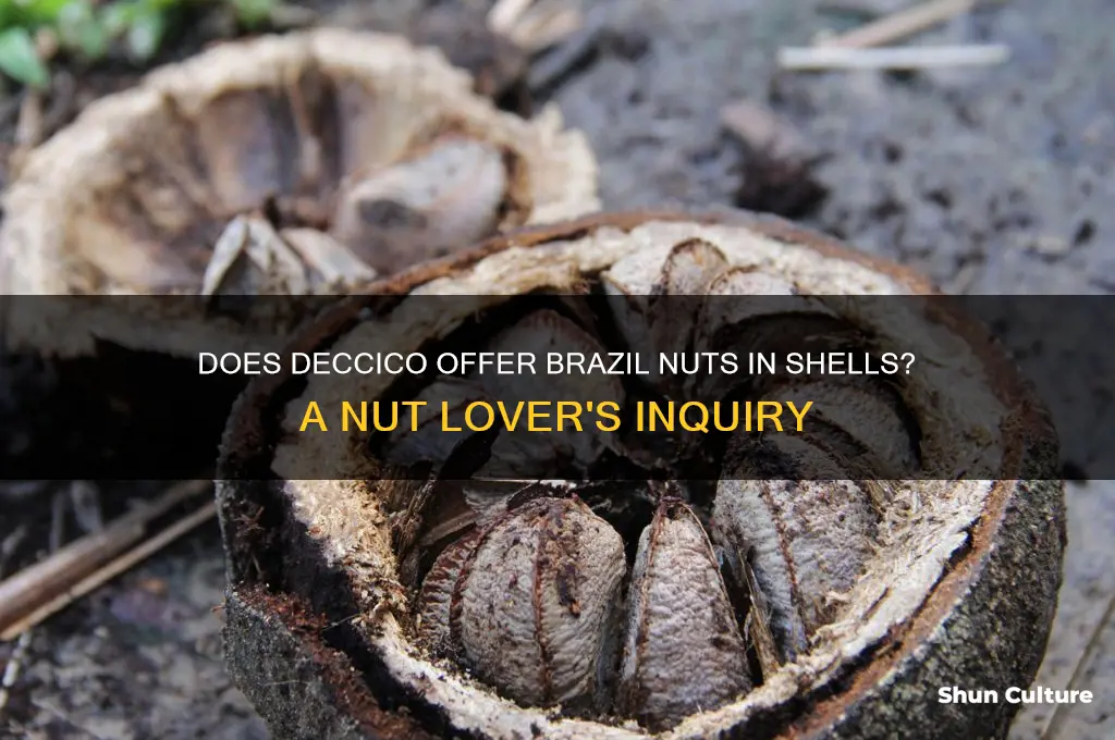 does deccico sell brazil nuts nit in shells