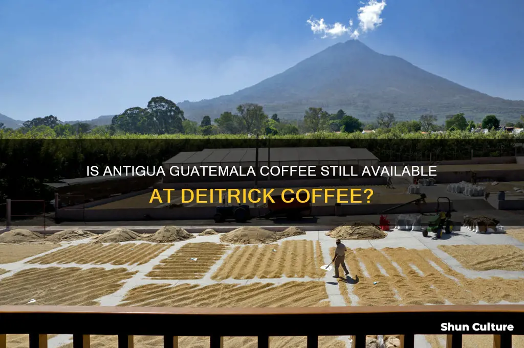does deitrick coffee still sell the antigua guatemala coffee