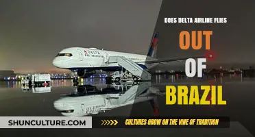 Delta Airlines Flights from Brazil: Routes, Destinations, and Availability