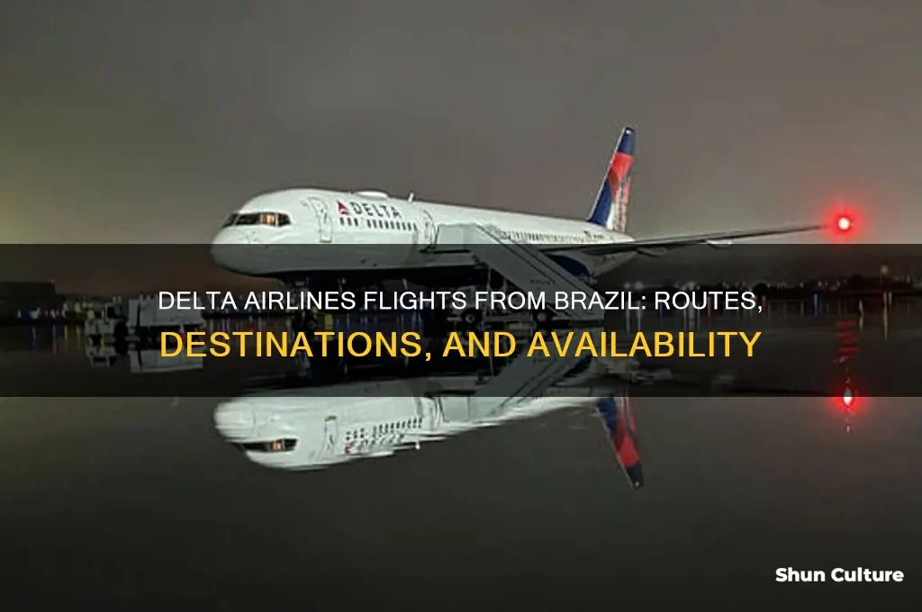 does delta airline flies out of brazil