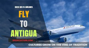 Does Delta Airlines Fly to Antigua? Your Travel Guide