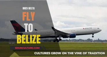 Delta's Belize Flights: All You Need to Know