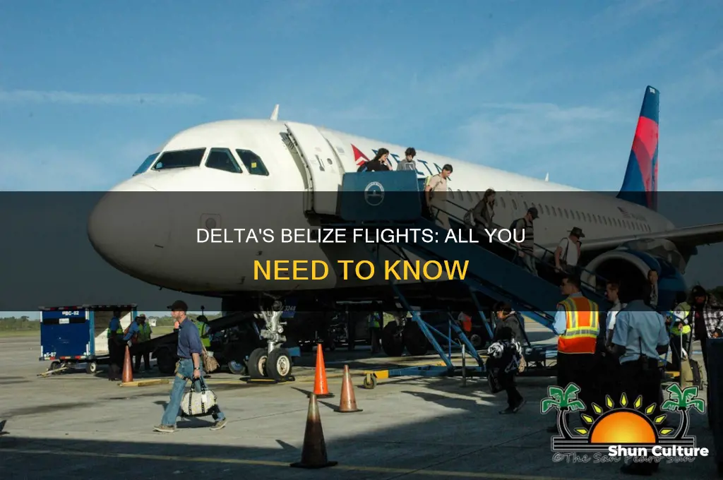 does delta fly to belize