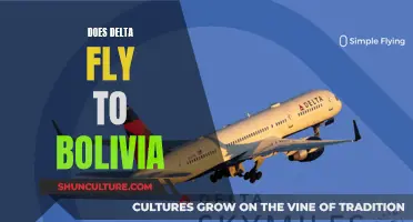 Delta's Bolivia Flights: Where and When?