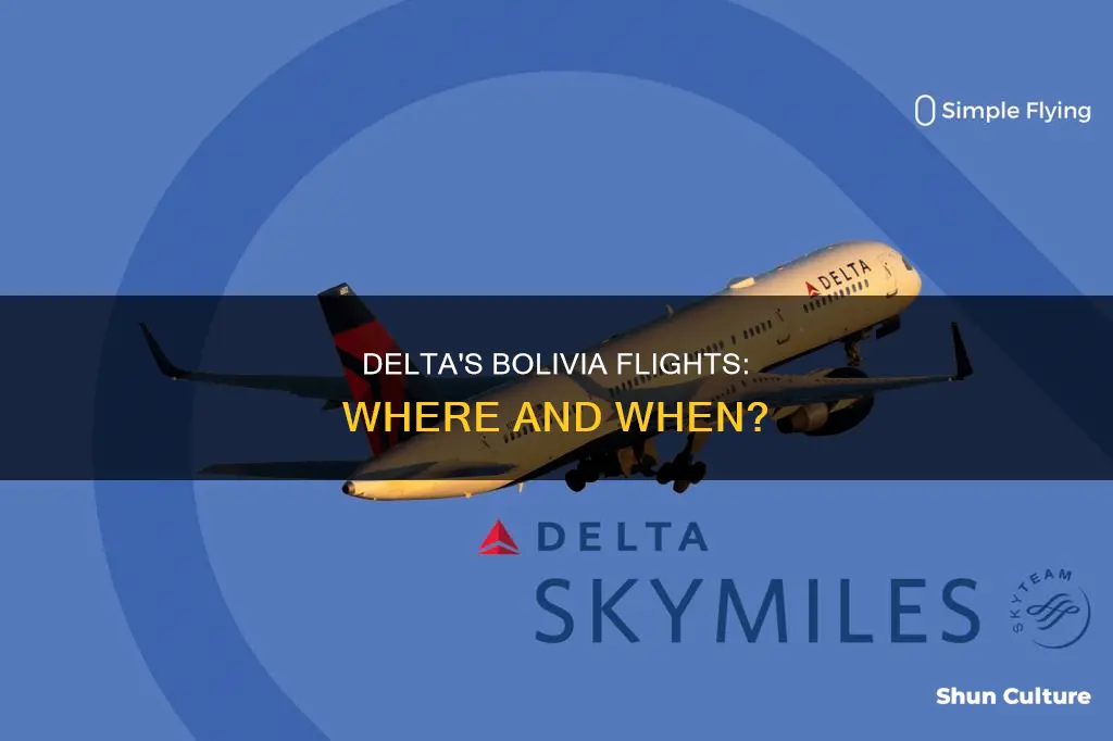 does delta fly to bolivia