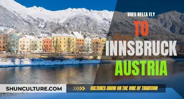 Delta's Austrian Adventure: Flying to Innsbruck