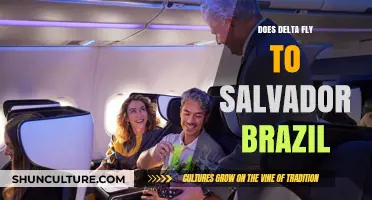 Delta Flights to Salvador, Brazil: Routes, Schedules, and Travel Tips