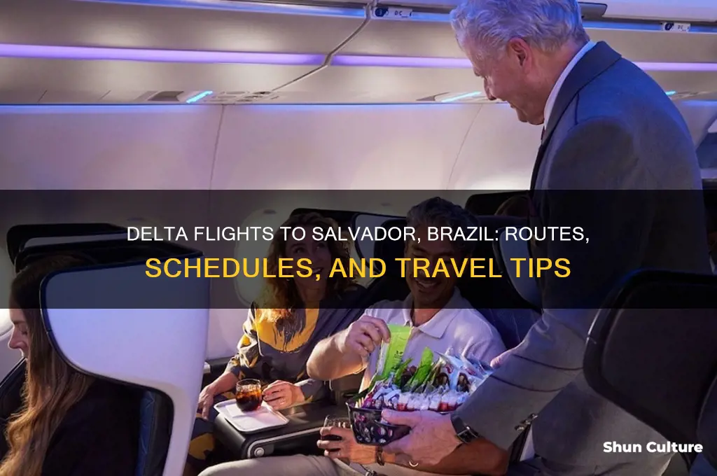 does delta fly to salvador brazil