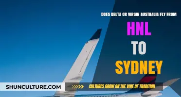 Delta vs Virgin Australia: HNL to Sydney Flight Options Compared