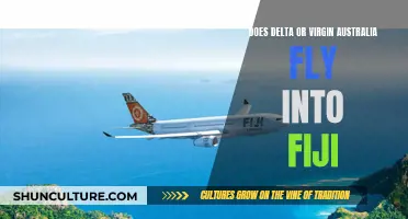 Delta vs Virgin Australia: Who Flies to Fiji?