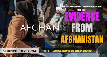 Exploring the Impact: Development Assistance and Violence in Afghanistan