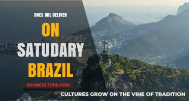 Does DHL Deliver on Saturdays in Brazil? Your Weekend Shipping Guide