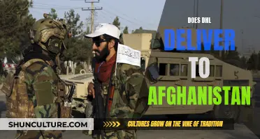 DHL's Global Reach: Unraveling Delivery Services in Afghanistan