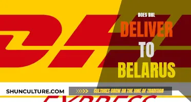 DHL's Belarus Delivery: What You Need to Know