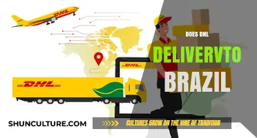 Does DHL Deliver to Brazil? Shipping Options and Services Explained