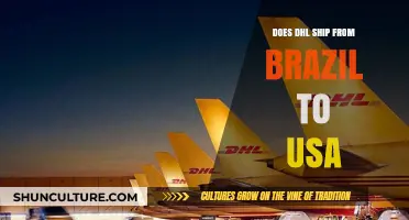 DHL Shipping from Brazil to USA: Services, Costs, and Delivery Times