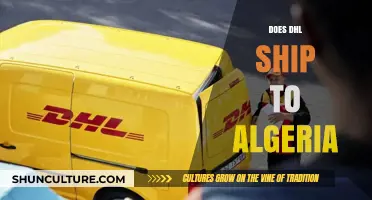 DHL Shipping to Algeria: Services, Costs, and Delivery Times Explained