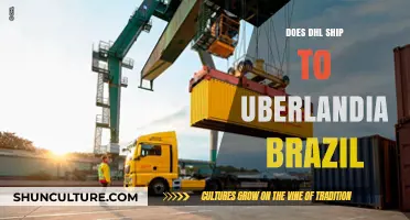 DHL Shipping to Uberlândia, Brazil: Services, Costs, and Delivery Times