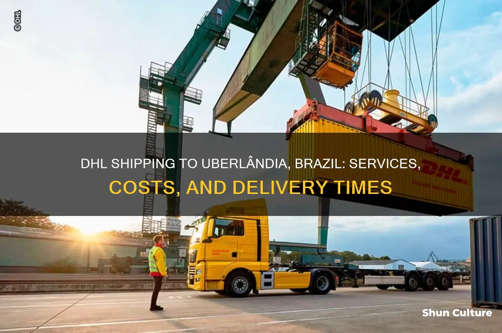 does dhl ship to uberlandia brazil