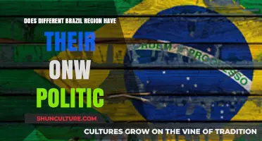 Regional Politics in Brazil: Unique Systems Across Diverse Territories