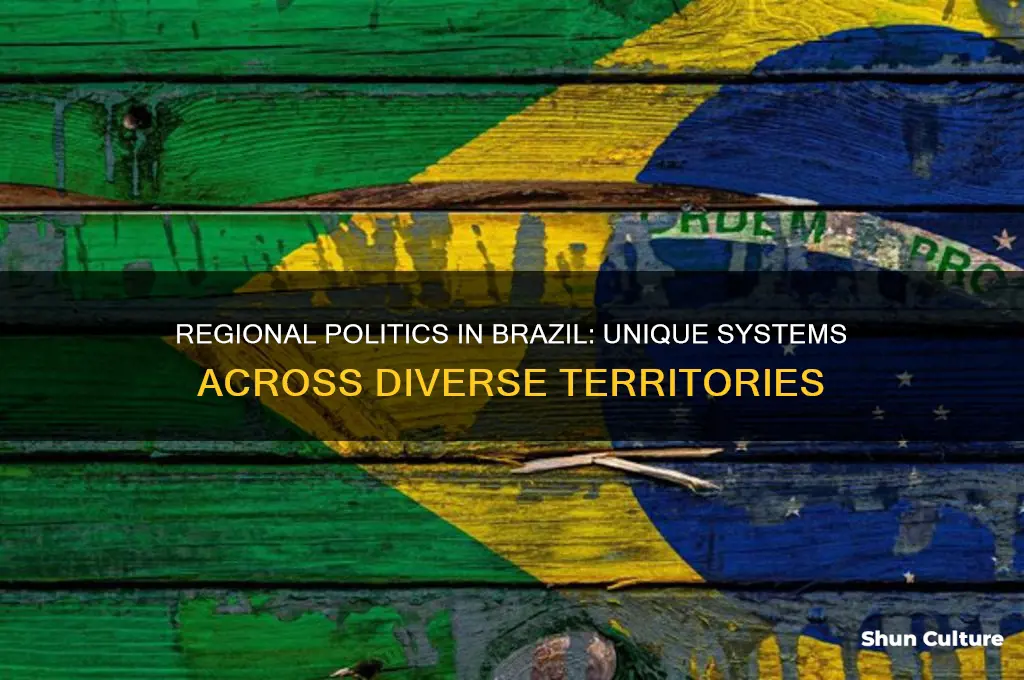 does different brazil region have their onw politic