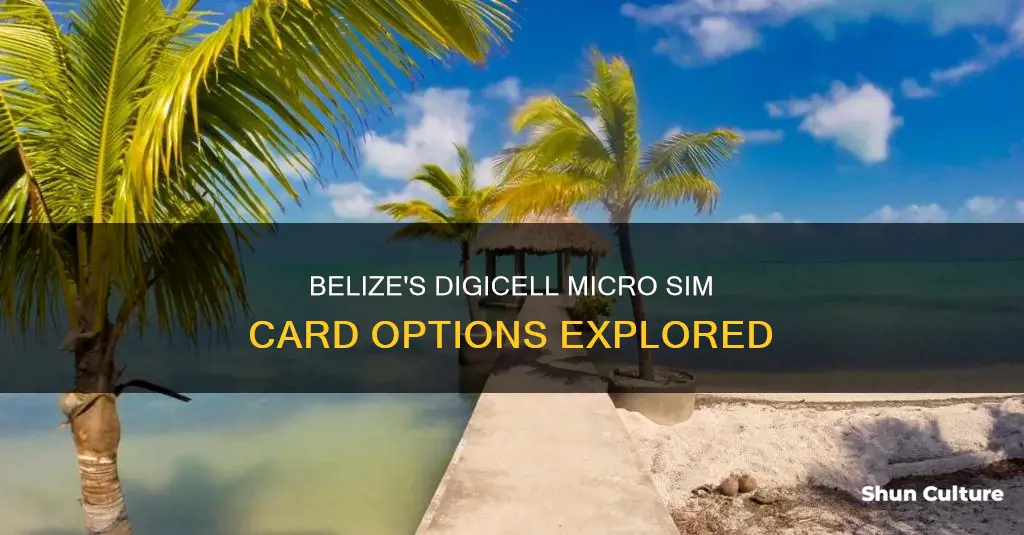 does digicell belize use micro sim cards