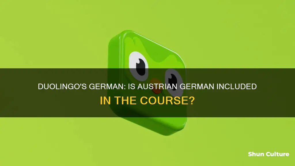 does duolingo have austrian german