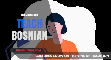 Does Duolingo Teach Bosnian? Exploring Language Learning Options for Bosnian