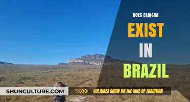 Exploring the Reality of Ecotourism in Brazil: Does Eacisim Exist?
