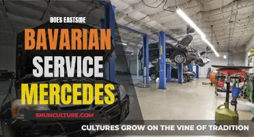 Eastside Bavarian: Servicing Mercedes with Precision and Expertise