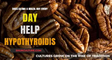 Brazil Nuts Daily: A Natural Boost for Hypothyroidism?