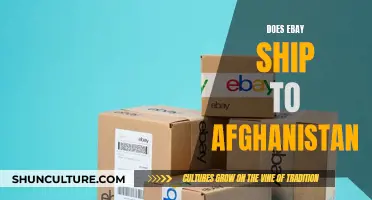 E-Commerce Hurdles: Navigating Shipping Restrictions to Afghanistan