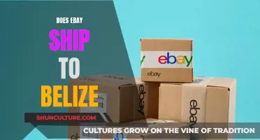 eBay Shipping to Belize: What You Need to Know