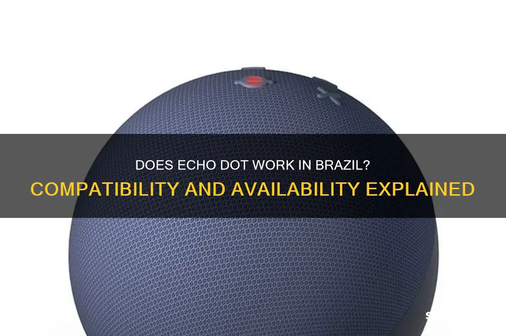 does echo dot work in brazil