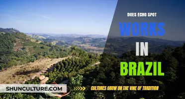 Does Echo Spot Work in Brazil? Compatibility and Functionality Explained
