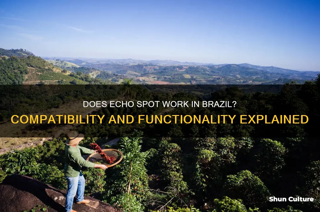 does echo spot works in brazil