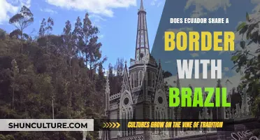 Ecuador and Brazil: Exploring Their Shared Border and Geographic Connection