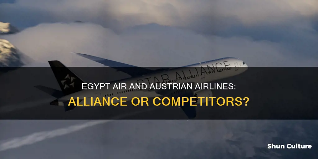 does egpyt air and austrian airlines have an alliance