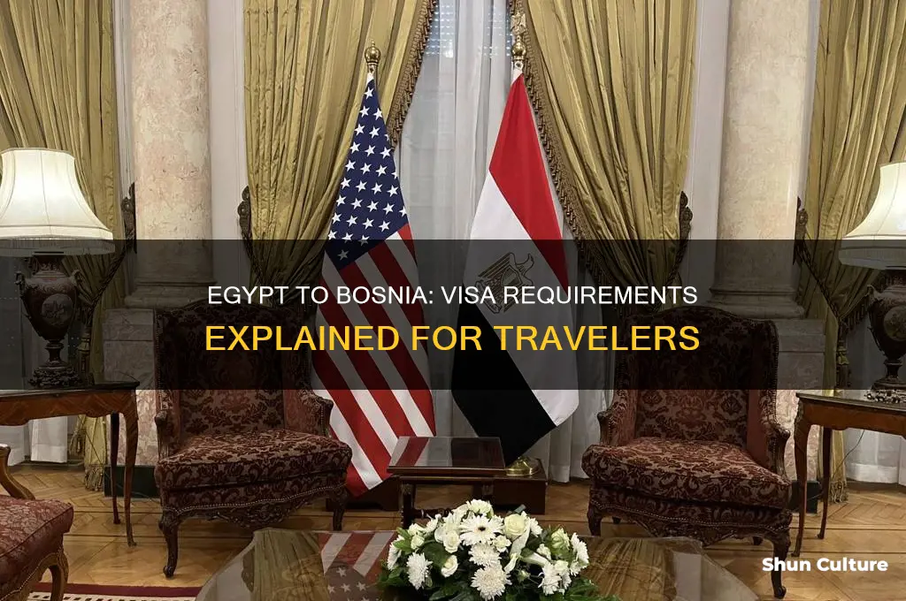 does egypt need visa to bosnia