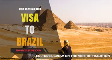 Egyptian Travelers to Brazil: Visa Requirements Explained